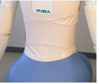 RIBA's waist