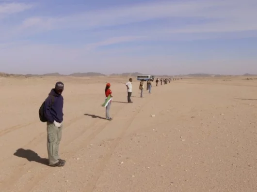 Students from the University of Khartoum line up to go meteorite hunting in the Nubian desert (Credit: Muawia Shaddad)