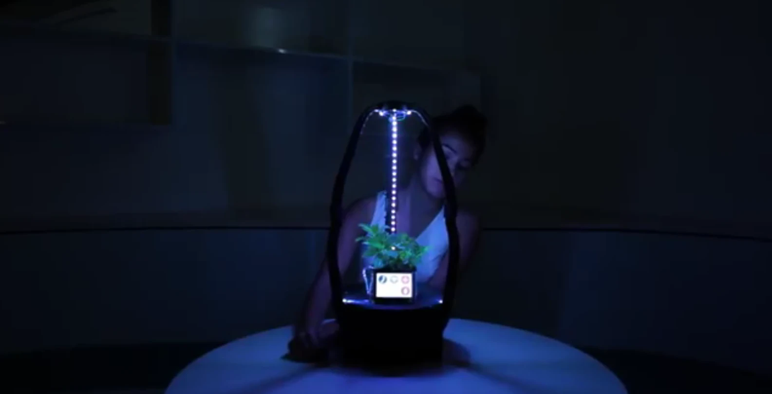 The AstroGro system has artificial intelligence monitoring to ensure ideal growing conditions