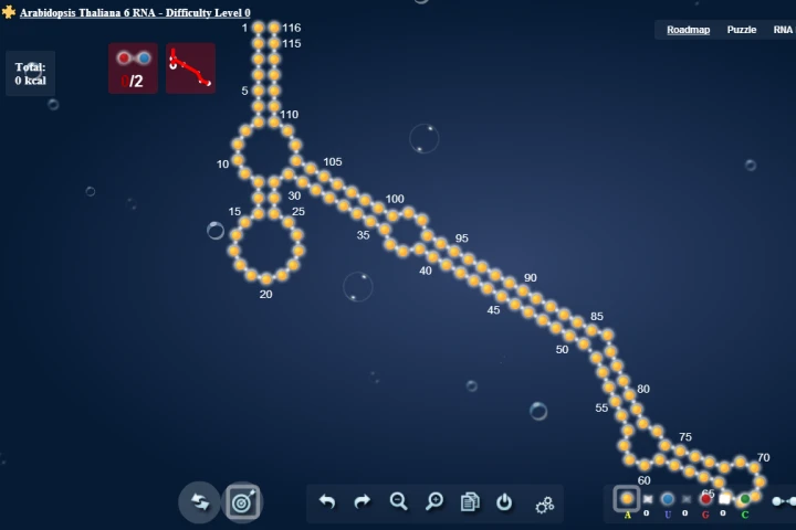 In the game EteRNA, players are asked to solve puzzles that predict how RNA will fold once synthesized