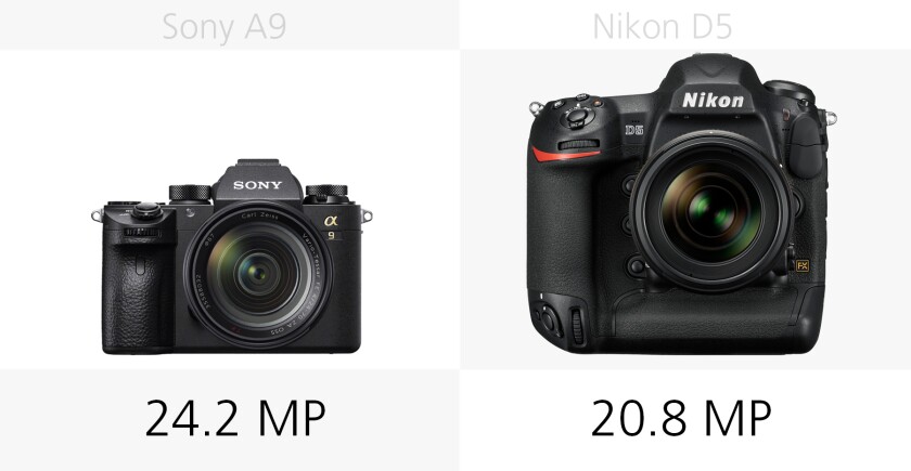 The megapixel count of the Sony A9 and Nikon D5 compared