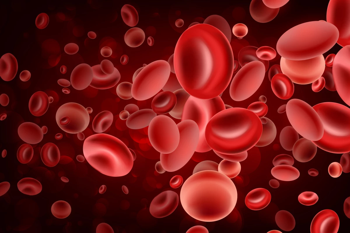 Researchers have developed a technique that allows red blood cells to be filled with drug molecules and then returned to a body to home in on a specific location