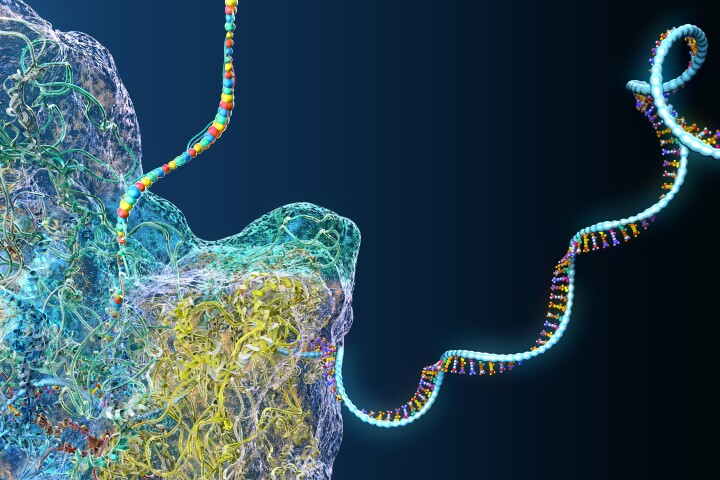 A new mRNA vaccine, not tested on humans, includes several strains of influenza with pandemic potential that have yet to cross over from animals