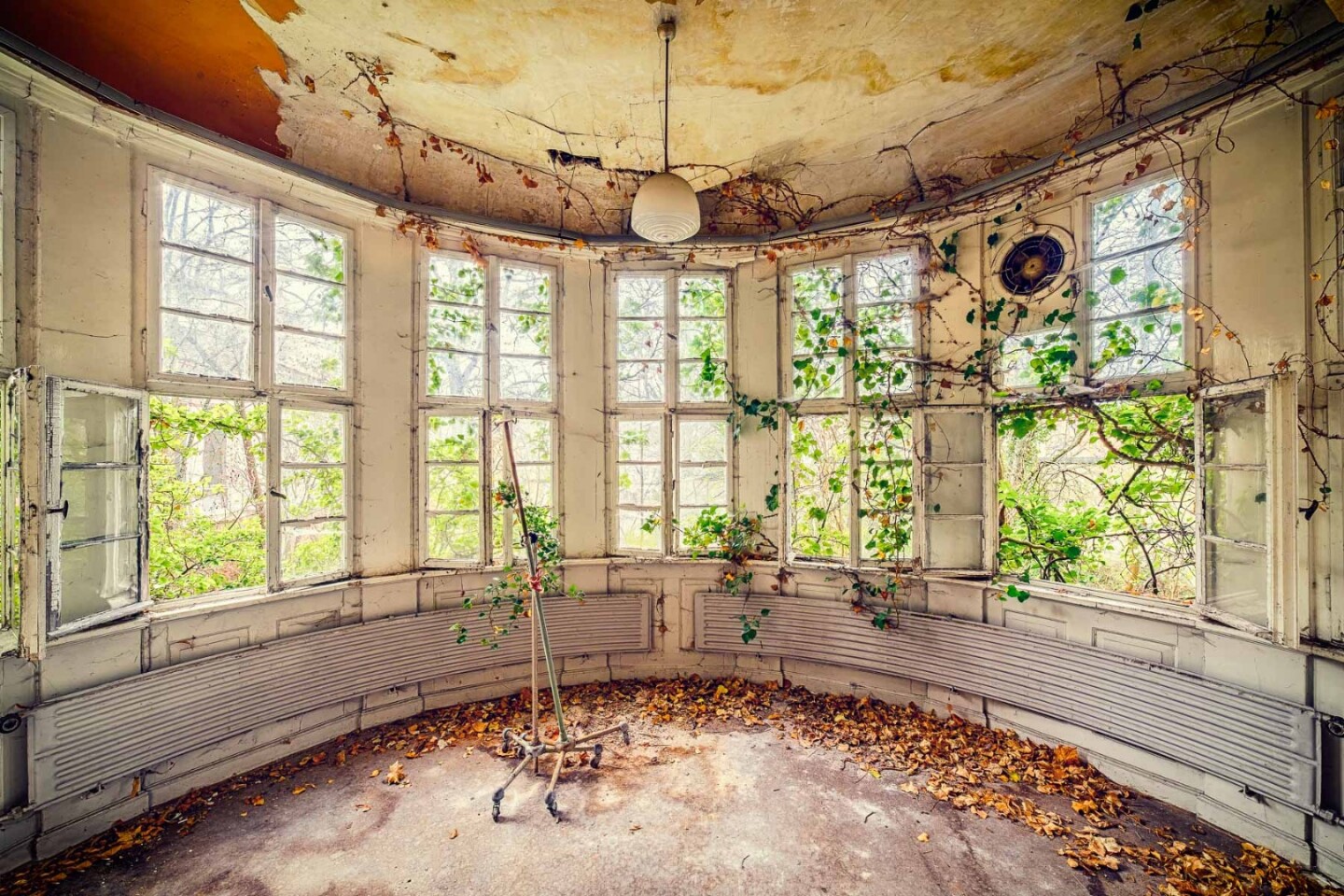 The plants outside slowly reclaim the interior of this old hospital