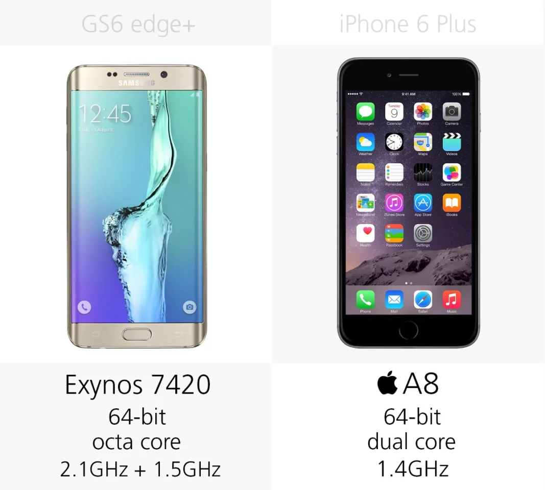 Processor
