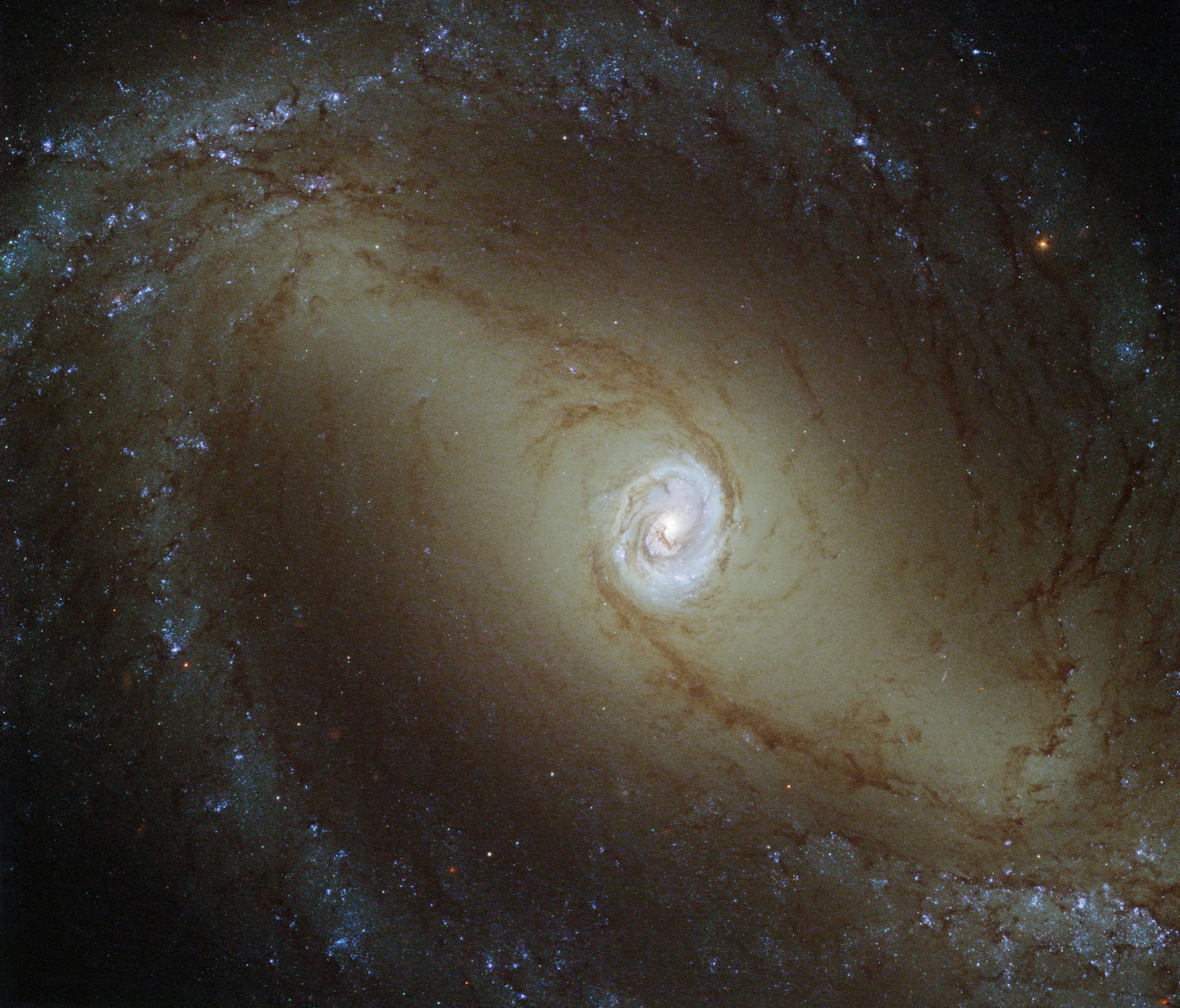 This view, captured by the NASA/ESA Hubble Space Telescope, shows a nearby spiral galaxy known as NGC 1433. At about 32 million light-years from Earth, it is a type of very active galaxy known as a Seyfert galaxy — a classification that accounts for 10% of all galaxies. They have very bright, luminous centres comparable to that of our galaxy, the Milky Way