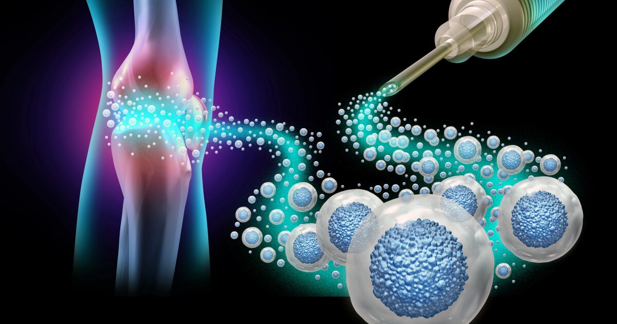 Immune cell injection significantly boosts healing of bone, muscle & skin