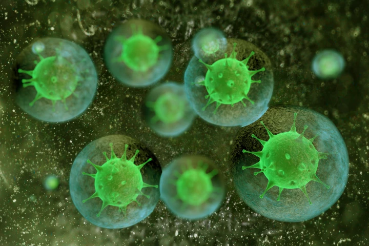 A new study into how the body's antibody-mediated immune response is activated has thrown into question decades of scientific understanding