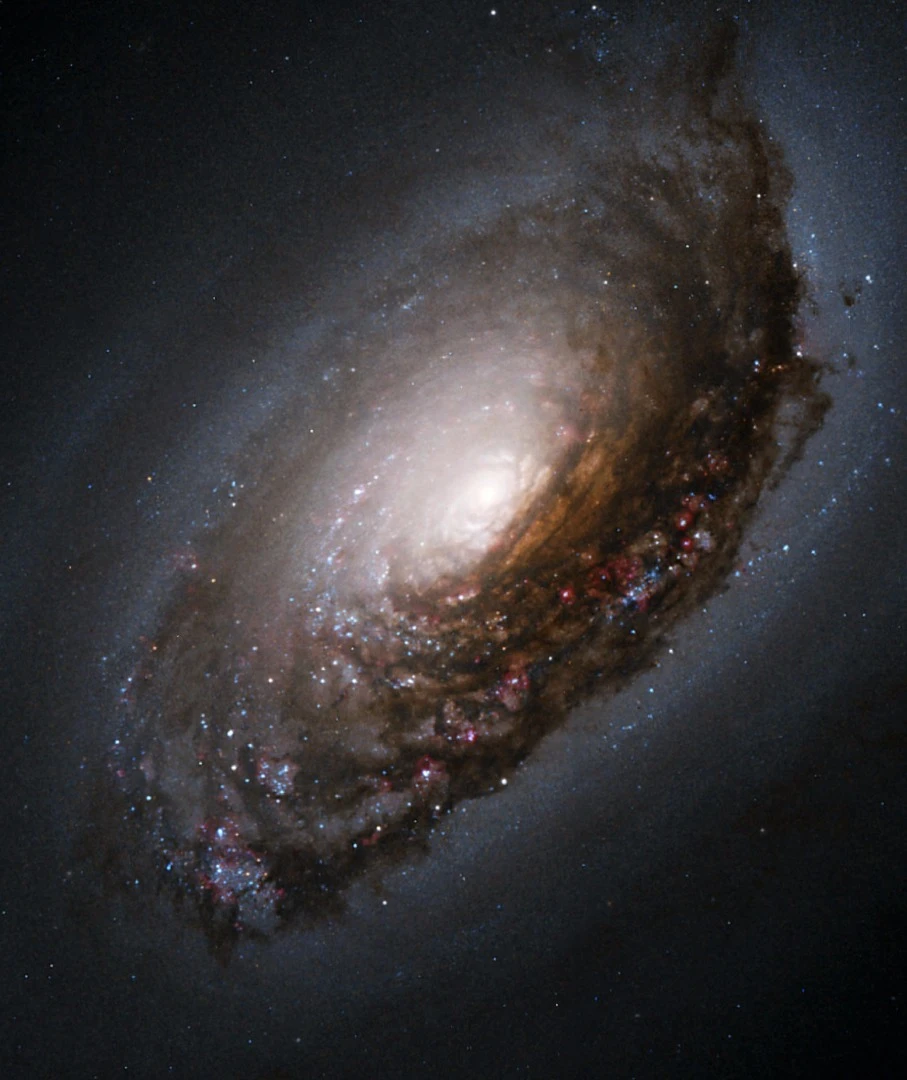 Hubble view of the Black Eye galaxy (M64)