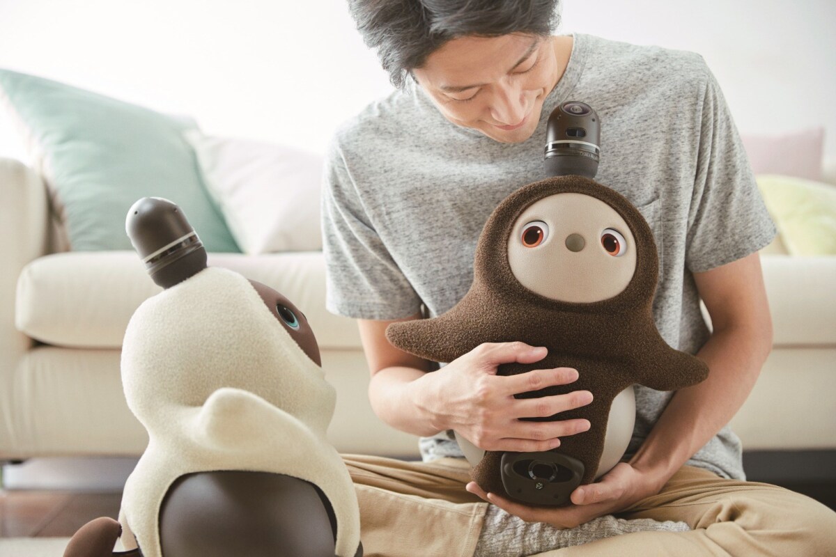 Huggable robot set to roll into your heart in 2019