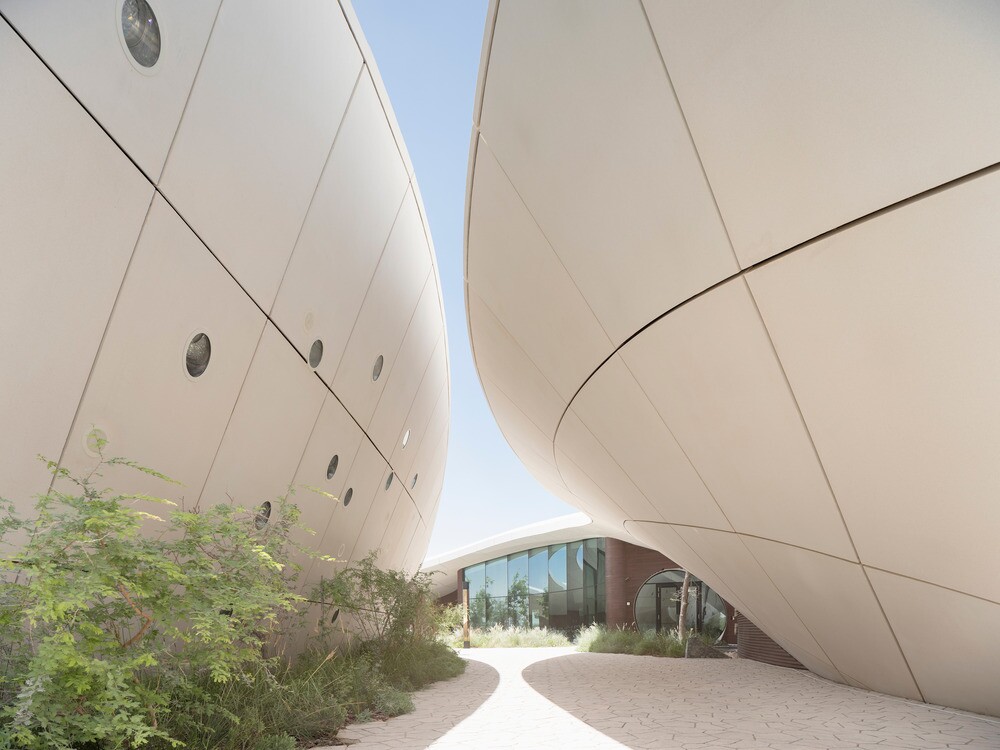 Architects reveal new model for urban living where desert meets forest