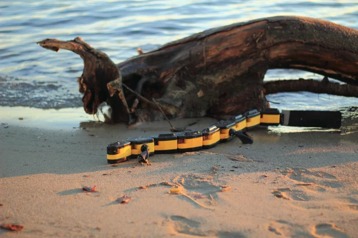 The Salamandra robotica II is the latest model of an amphibious robot that can walk, crawl, and swim just like a salamander (Photo Credit: Kostas Karakasiliotis, Biorobotics Laboratory, EPFL)