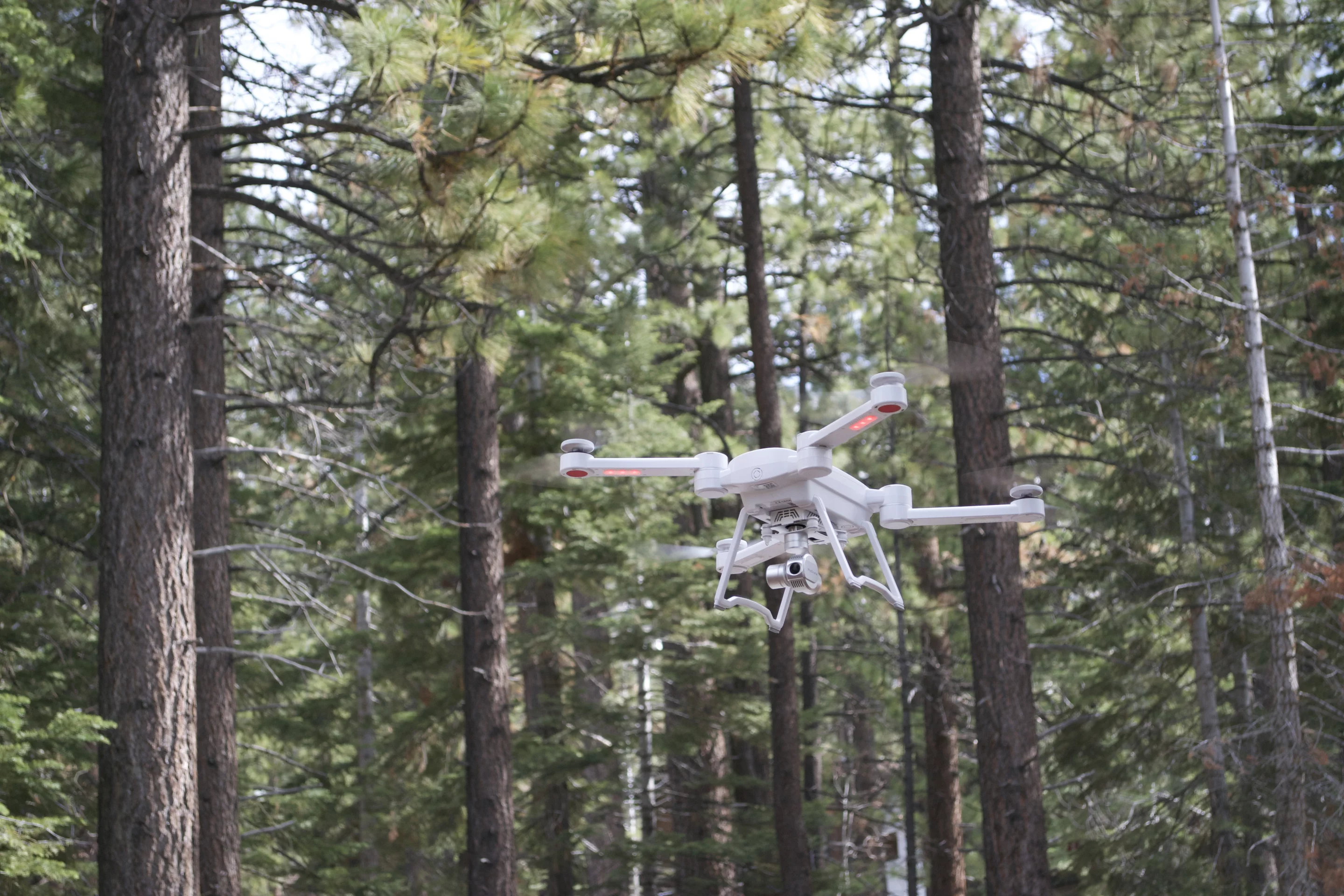 The ProDrone Byrd Standard in flight