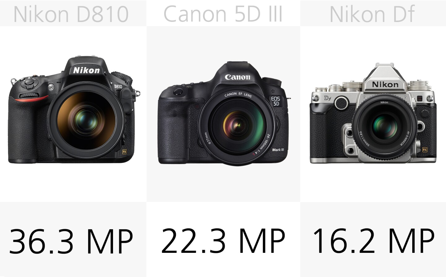 The standout camera when it comes to resolution is undoubtedly the megapixel monster that is the Nikon D810 with its 36.3-megapixels