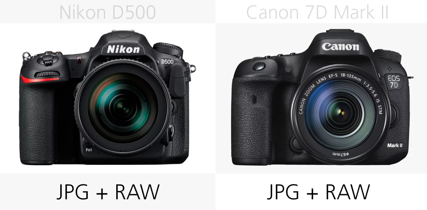 Filetype comparison of the Nikon D500 and Canon 7D Mark II