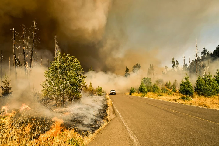 Wildfires can erupt faster than current systems can detect them – and do immense damage if they're not tackled soon after they start
