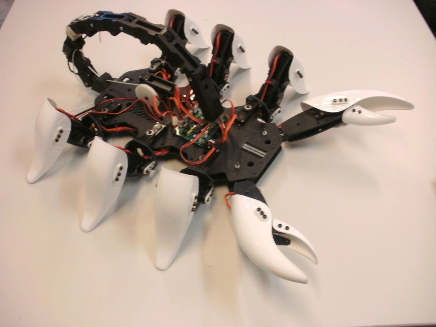 Build photo showing the lasercut ABs body, 3D-printed leg and tail modules and thermoformed polystyrene feet and claws