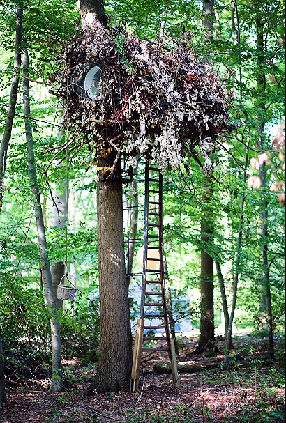 Access to the Love Nest is by vertical ladder