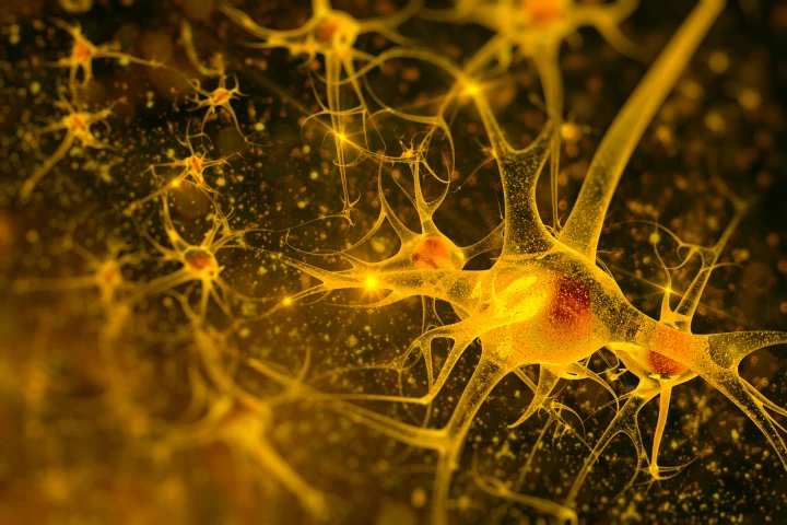 Researchers have identified a link between circular RNAs and neurodegenerative diseases