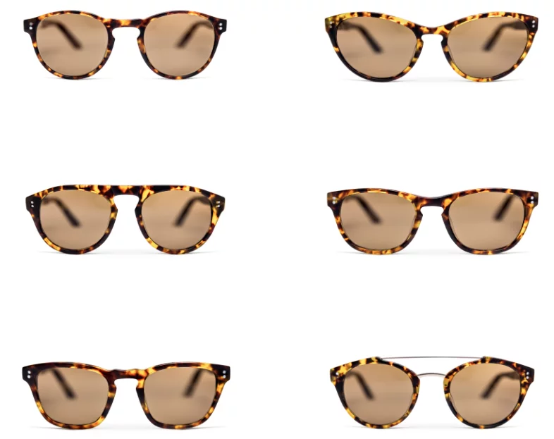 The six different frame styles with the tortoise pattern
