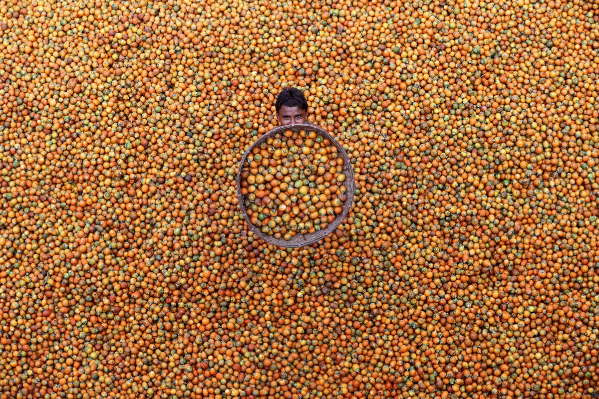 APAC Winner. M Yousuf Tushar "Betel Nut", taken Coxbazar, Bangladesh