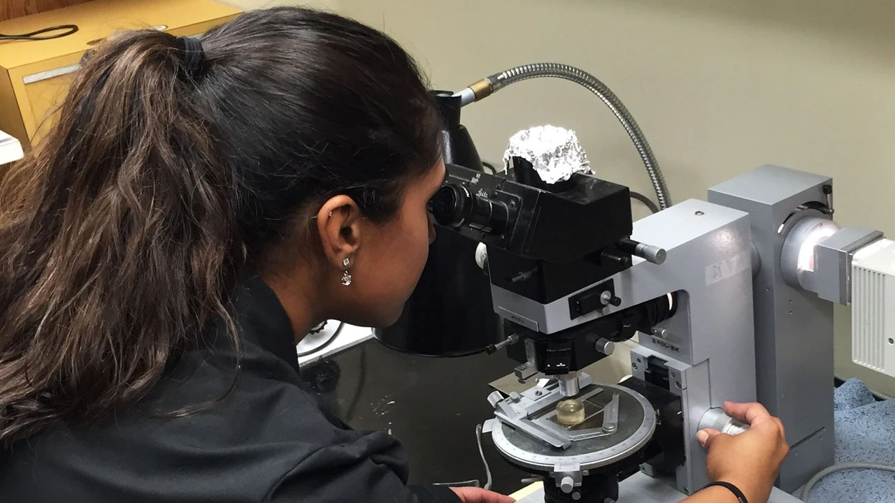 Lead author Poorna Srinivasan studies NWA 11119