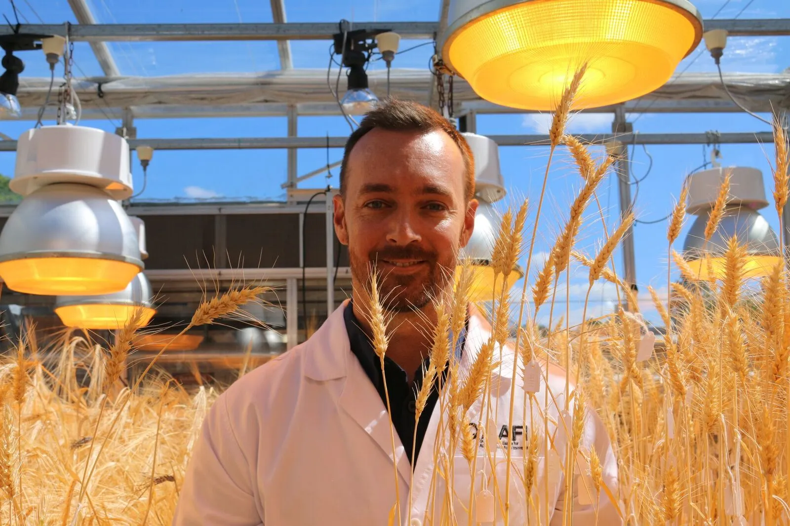 Dr Lee Hickey in the glasshouse