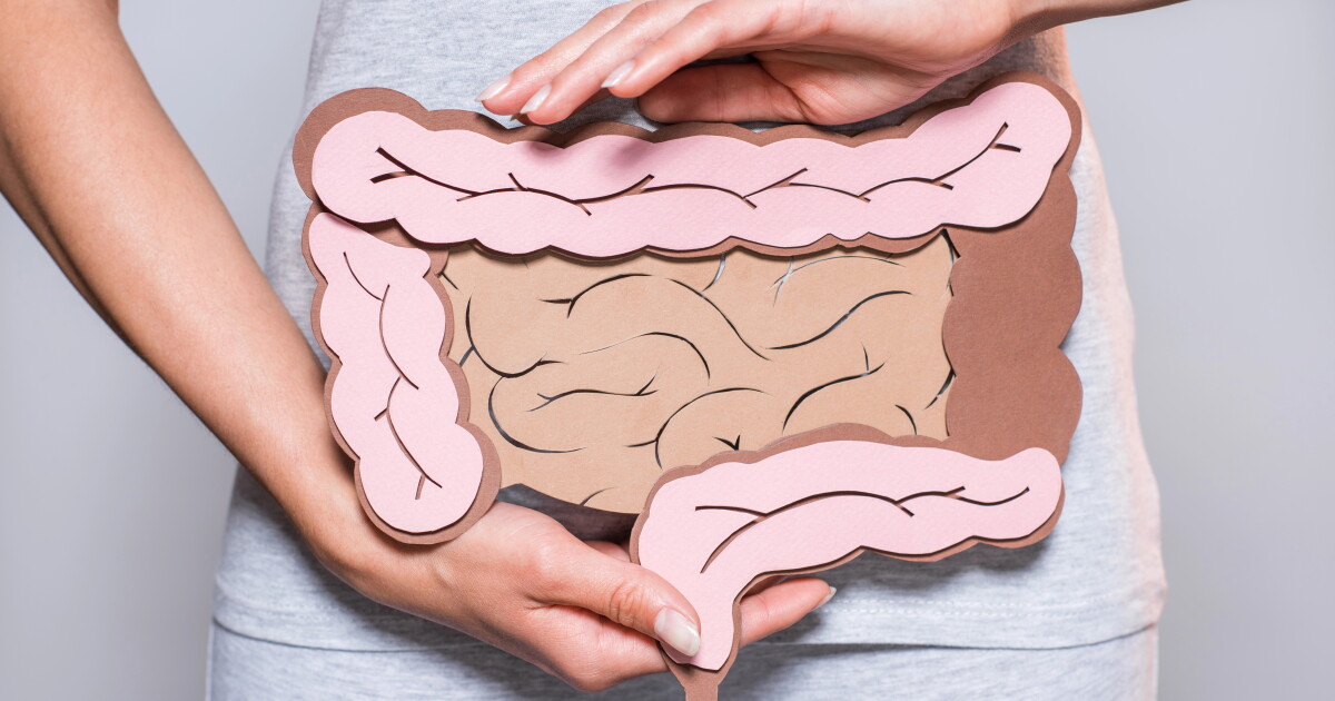 IBS breakthrough: Serotonin-making gut bugs restore bowel function