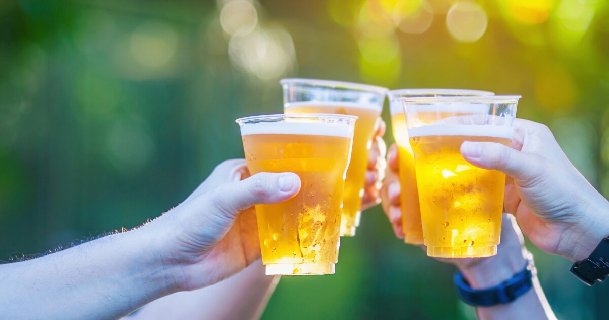 Mosquito attraction linked to beer and hygiene habits Mosquito attraction linked to beer and hygiene habits