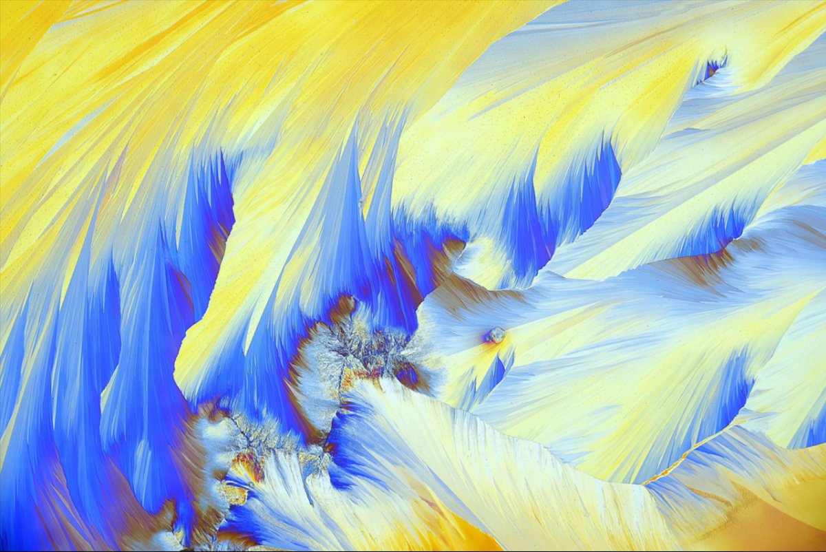Winner in the Art of Nature category - Henri Koskinen used acetone to dissolve a few tablets of crushed Paracetamol— which gave way to wonderful colors and endless shapes as crystals formed on the microscope slide