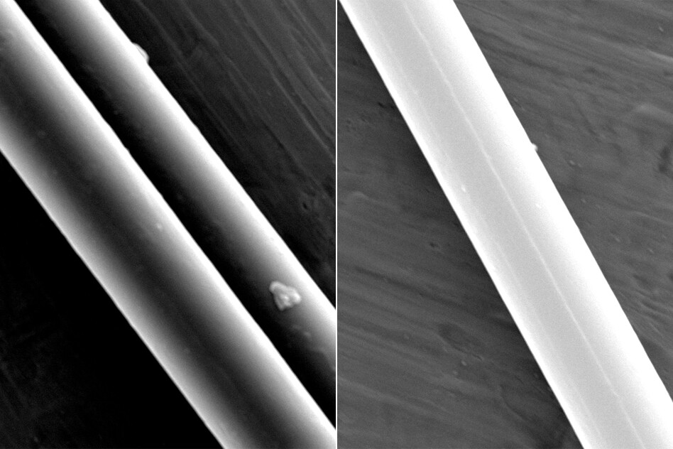 A scanning electron microscope image of spider silk strands