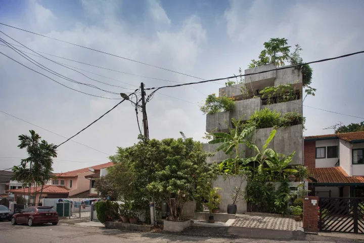 The Planter Box house was designed for a retired couple with a keen interest in gardening and growing their own food