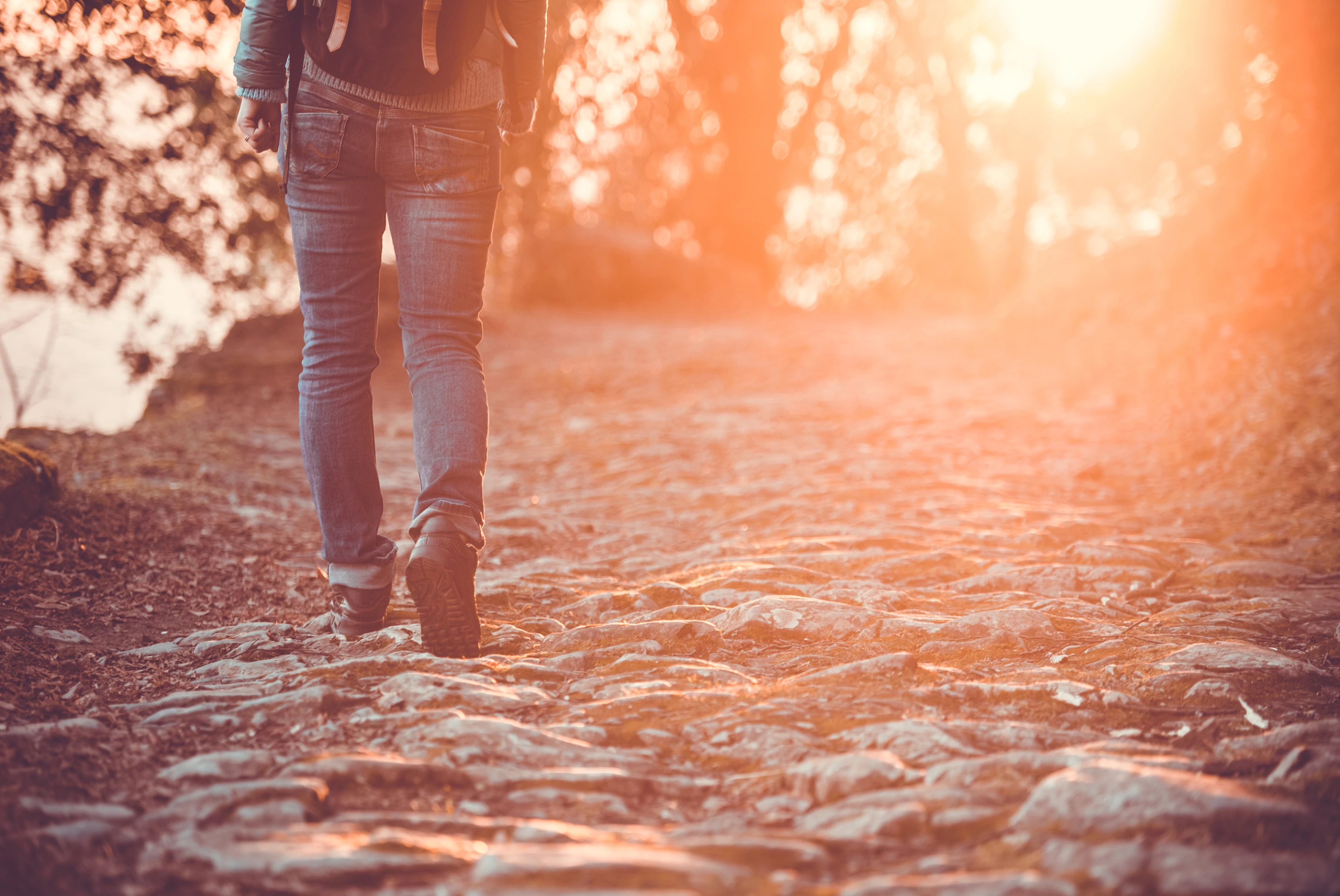 Brain imaging revealed a one-hour walk in a forest reduced activity in a stress-processing region of the brain compared to a one-hour walk in a busy urban environment
