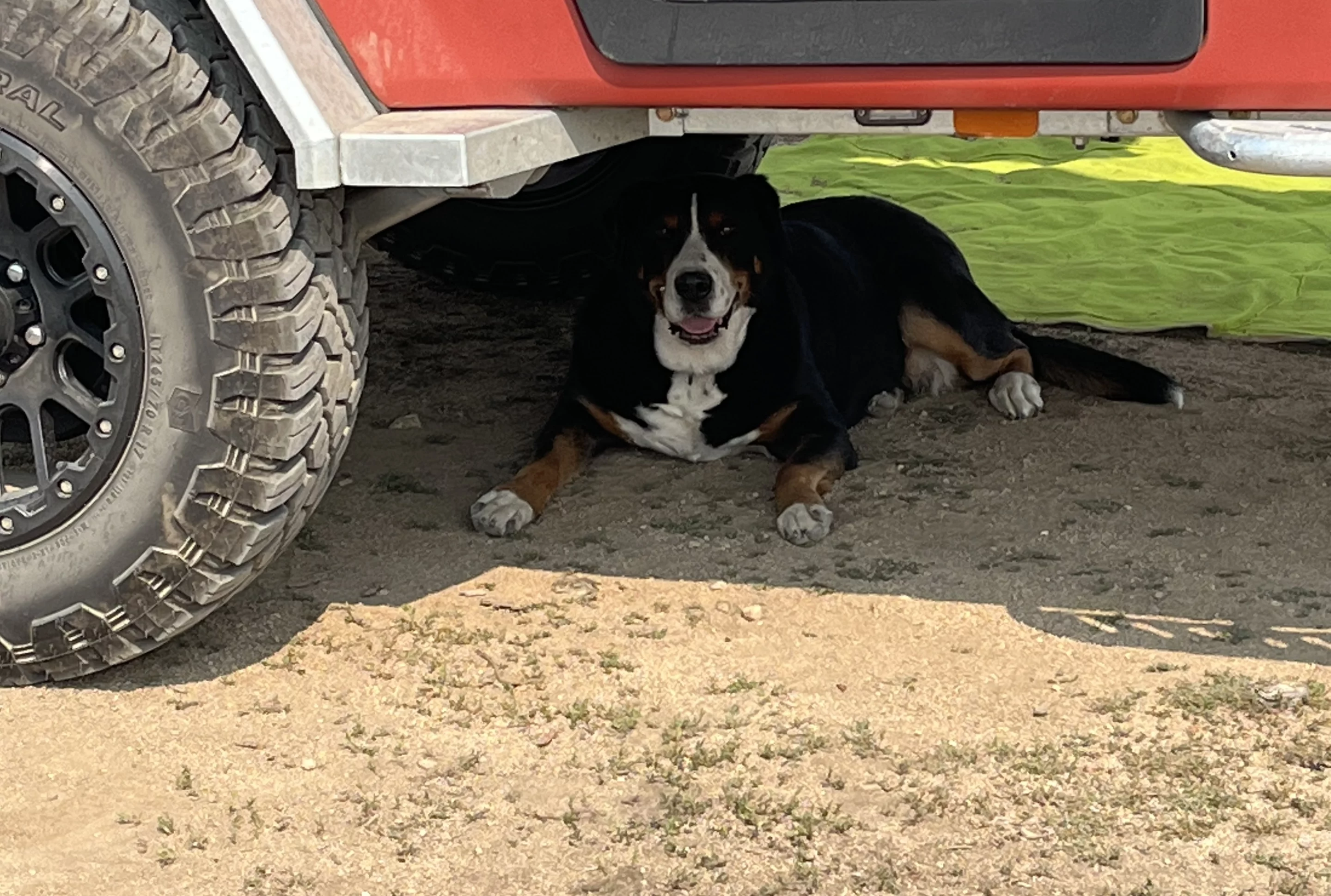 Who needs an awning or tent? She's happy there during the day but would be whining incessantly if left outside to sleep without her family