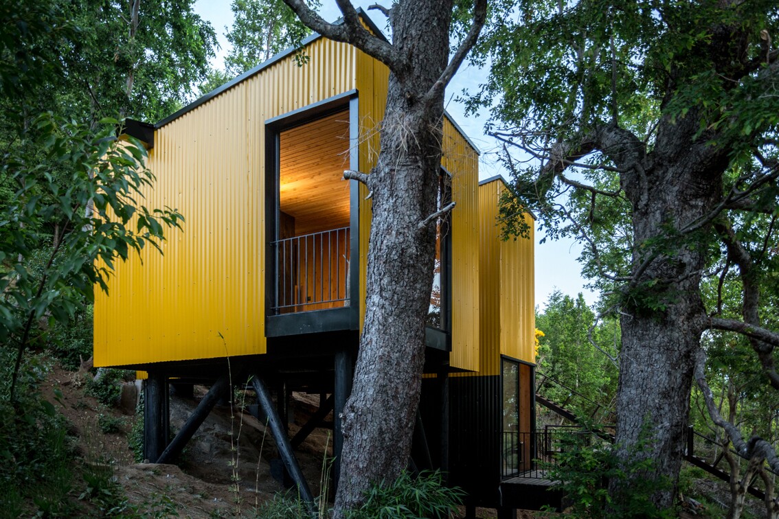 Yellow House is a giant treehouse-inspired home that proposes a comfortable and economic housing model for the future