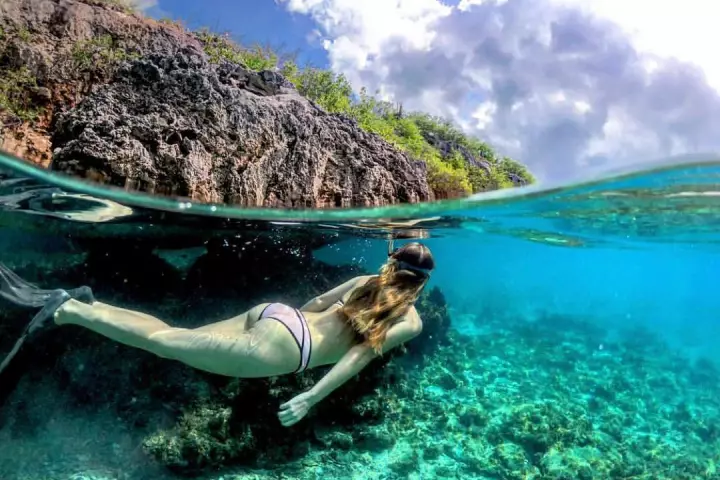 A split shot photo, taken with the GDome Mobile