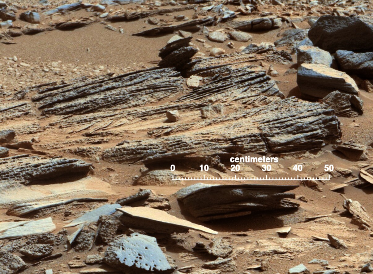 "Shaler" outcropping with 50 centimeters (19.7 in) scale bar showing “cross-bedding” strata (Image: NASA/JPL-Caltech/MSSS)