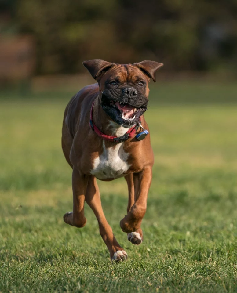 Sony a9 sample shot: ISO 100, f/2.8, 1/1600 sec