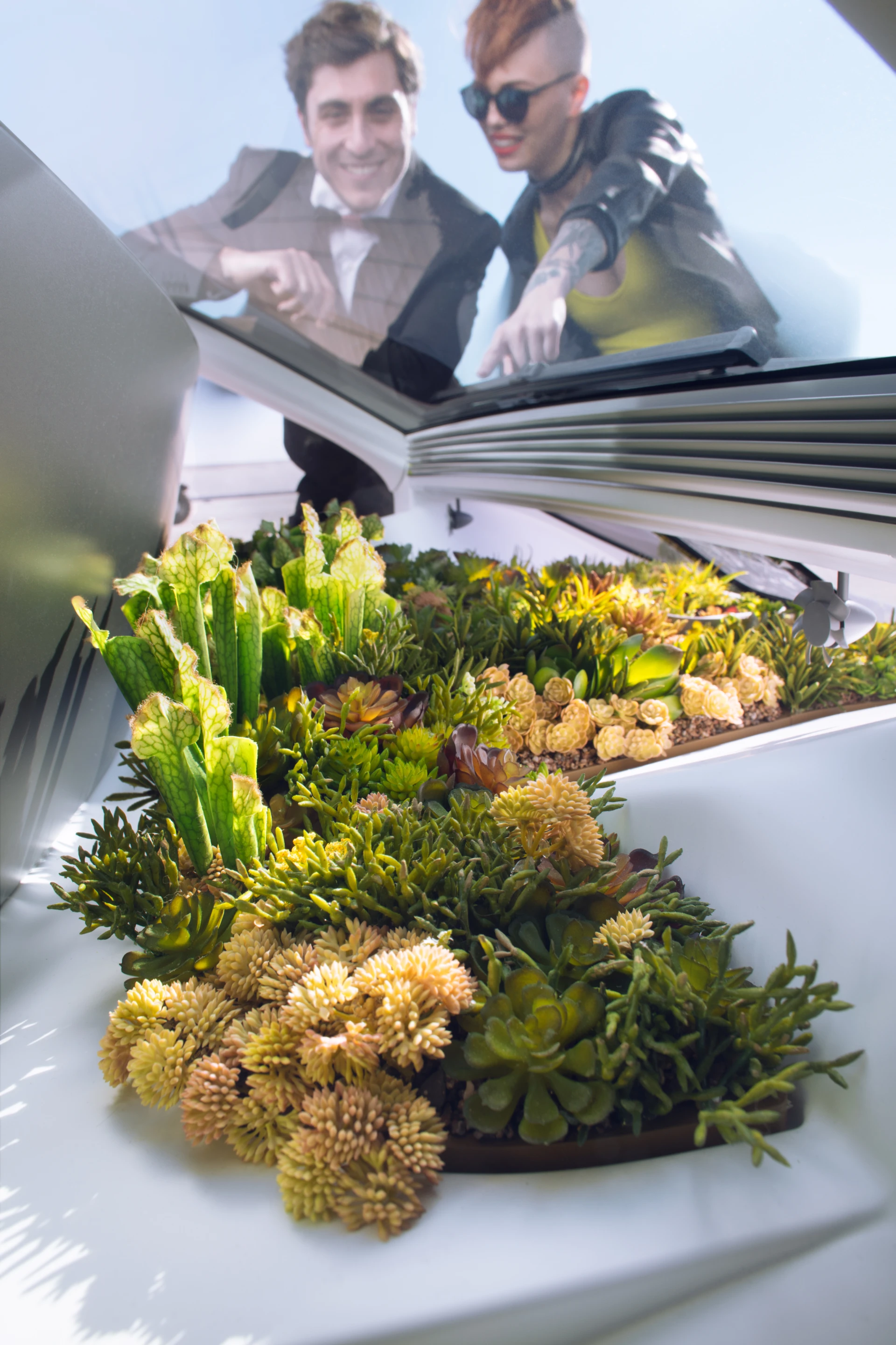 A garden oasis in an automotive desert