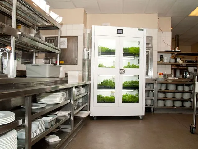 The commercial version of the Urban Cultivator, known as the Commercial Cultivator