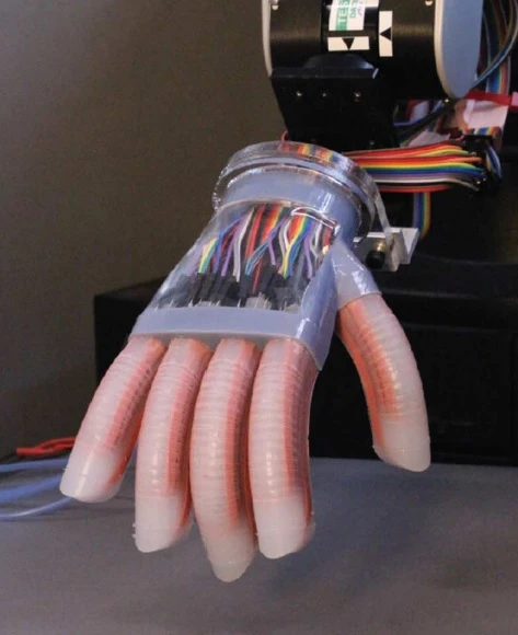 The creation of the artificial hand relied on a 3D fabrication technique that Cornell has successfully employed in making other artificial body parts