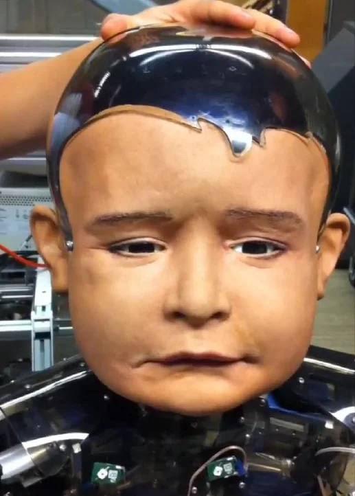 UCSD's infant robot, Diego-san, frowns using some of its head's 27 servo motors