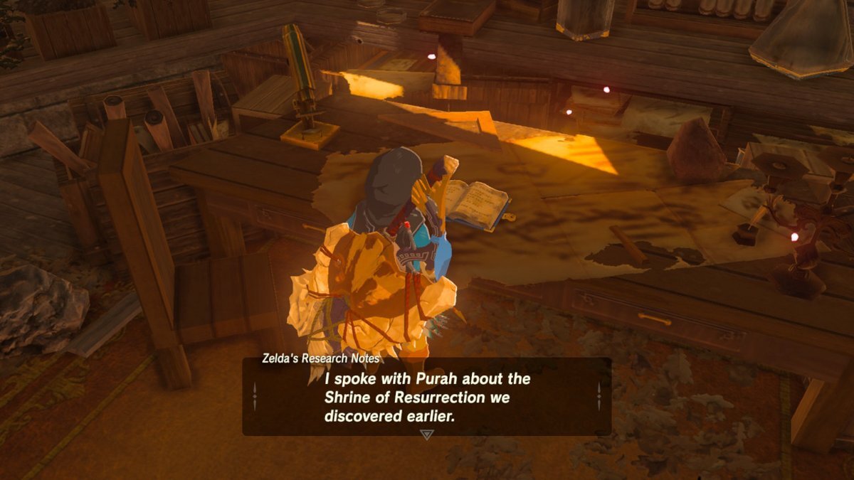 Zelda's research journal.