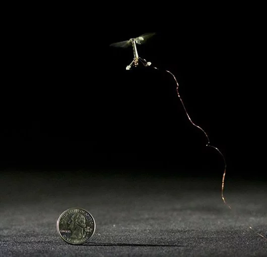 Harvard's RoboBee hovers in mid-air next to a coin for scale (Photo: Kevin Ma and Pakpong Chirarattananon)