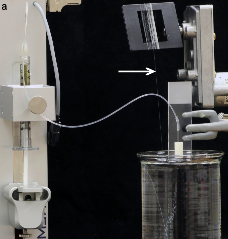 Highly concentrated spider silk protein solution in a syringe is pumped through a pulled glass capillary with a tip size of 10-30 micrometers, with the tip submerged in a low pH aqueous collection bath