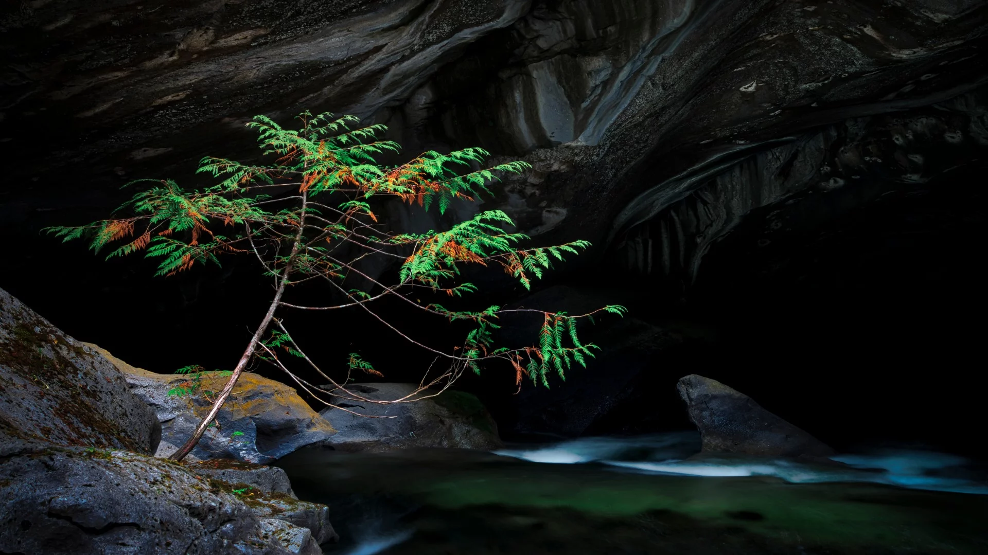 Huson Caves, Vancouver Island, British Columbia, Canada. From the top 101 entries