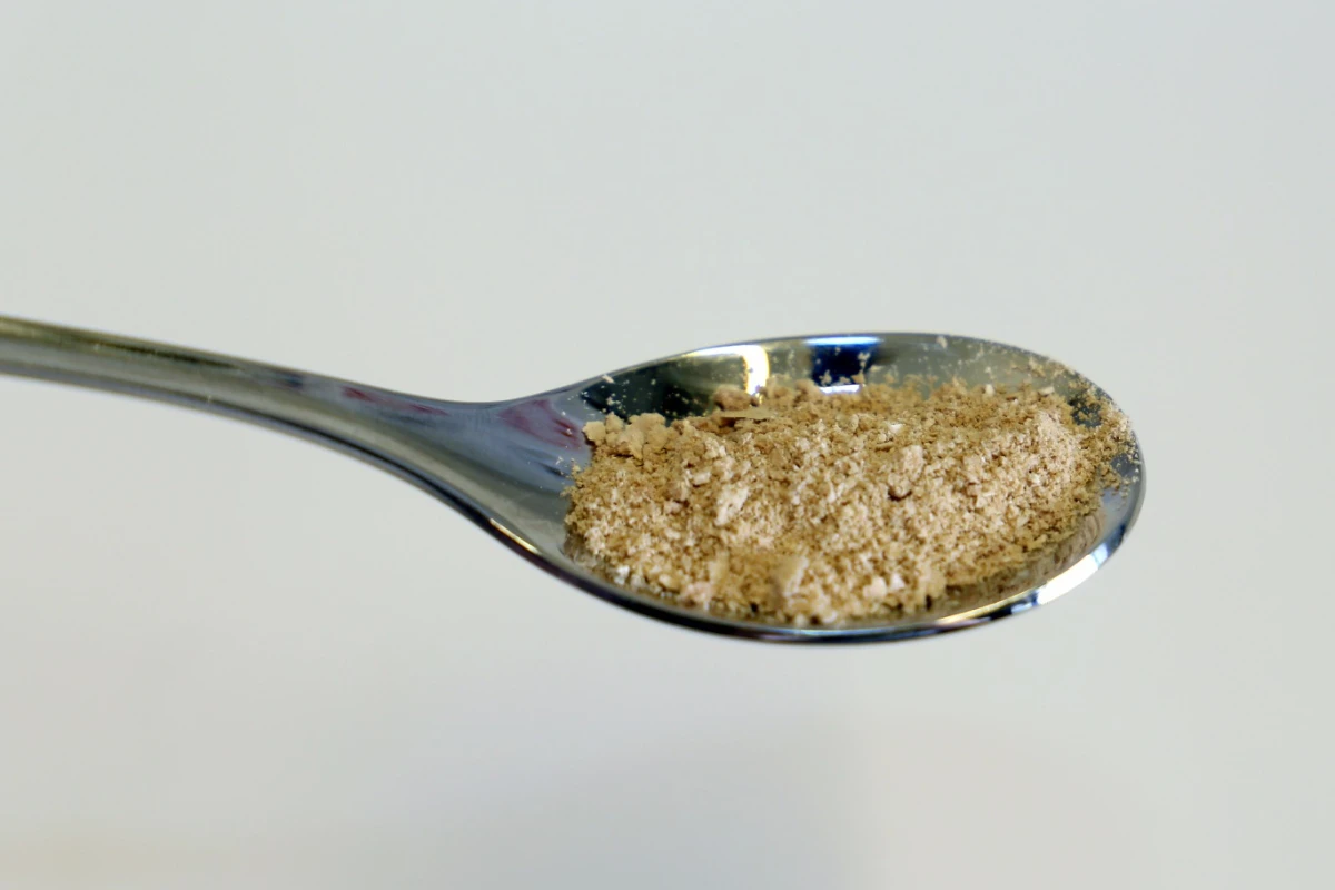 A sample of edible protein powder grown from microbes