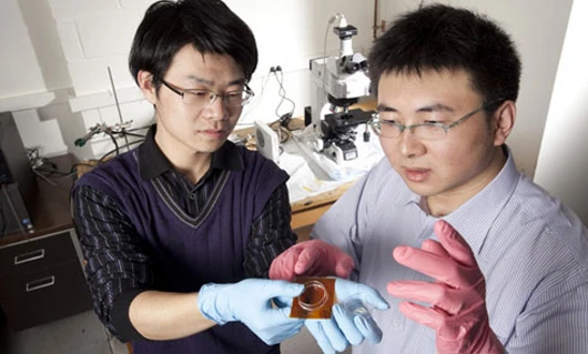 Qiming Wang, left, and Xuanhe Zhao are part of a team that has developed a way to dynamically alter the texture of plastics