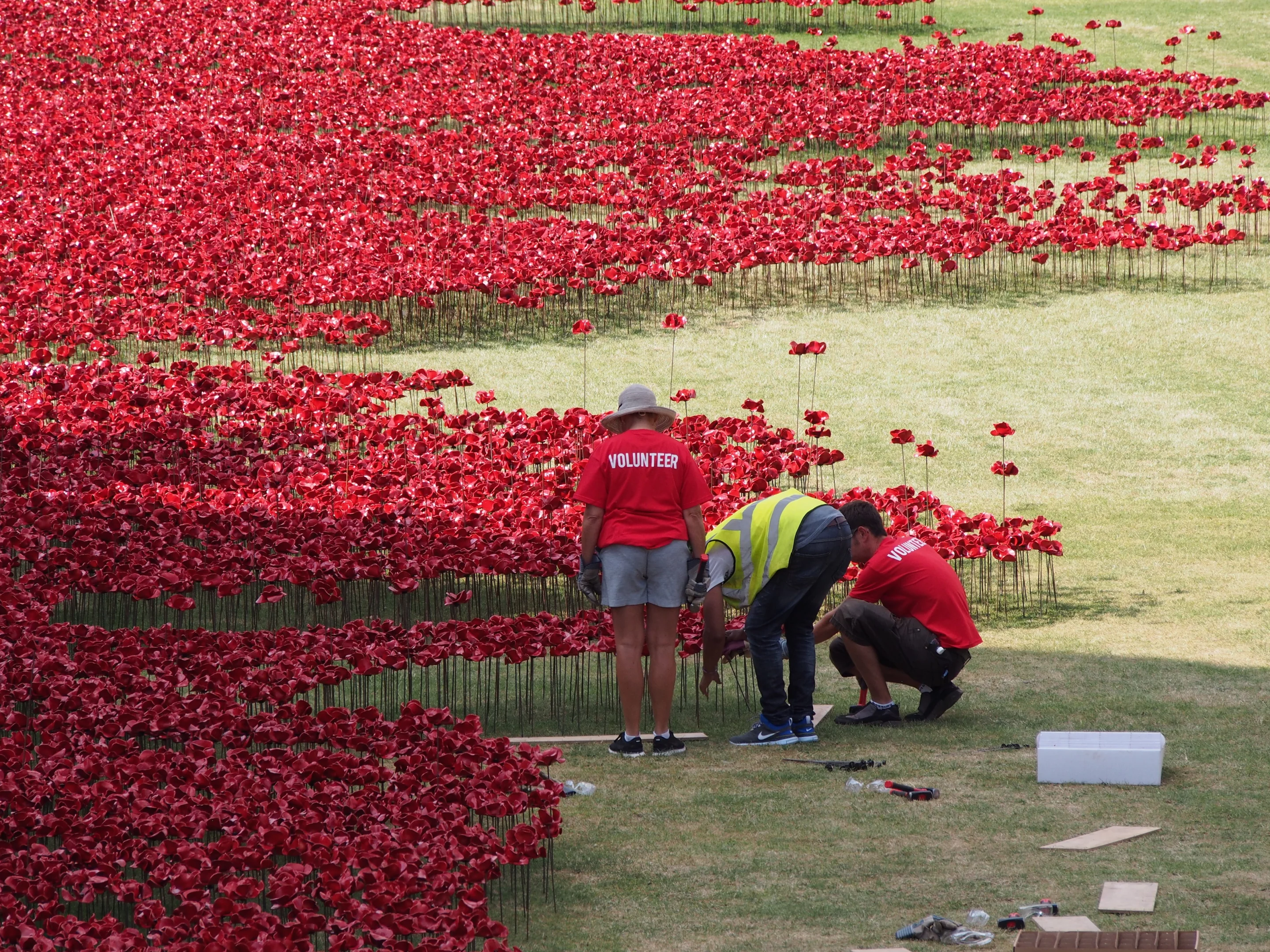 Volunteers laying poppies (Photo: Adam Williams/Gizmag)