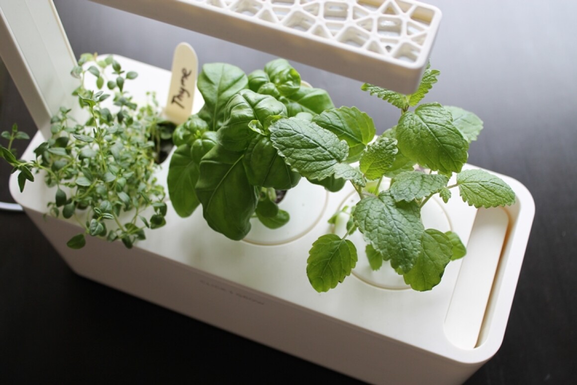 Review Click and Grow Smart Herb Garden